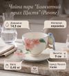 CMS-54/1 Чайна пара "Блакитний птах Щастя" (Pavone)