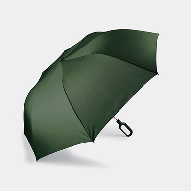 Складна парасолька Mini Hook з ручкою-гаком, зелений