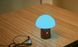 Світильник на акумуляторі Gingko Alice Mushroom Lamp Mini, горіх | G022WT2