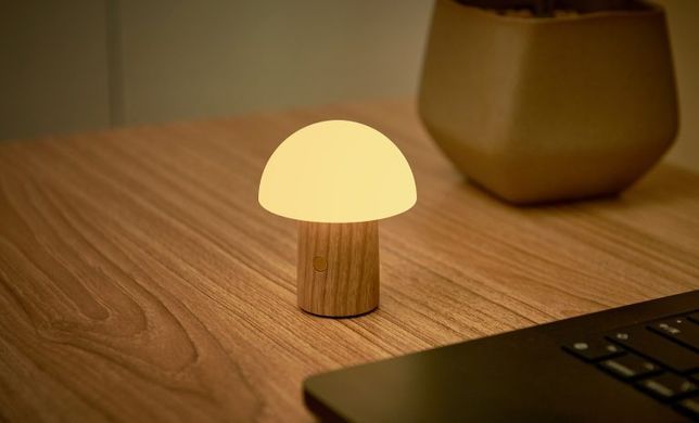 Світильник на акумуляторі Gingko Alice Mushroom Lamp Mini, білий попіл | G022AH2