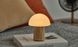 Світильник на акумуляторі Gingko Alice Mushroom Lamp Mini, білий попіл | G022AH2