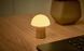 Світильник на акумуляторі Gingko Alice Mushroom Lamp Mini, білий попіл | G022AH2