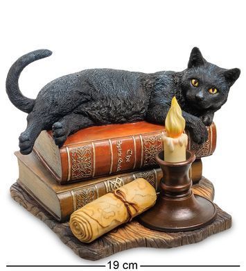 WS-843 Статуэтка &laquo;Кот на книгах&raquo; (Лиза Паркер) Veronese