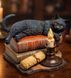 WS-843 Статуэтка &laquo;Кот на книгах&raquo; (Лиза Паркер) Veronese