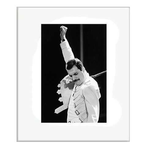 Картина "Freddy Mercury", 31 х 26 см, 31 х 26 см