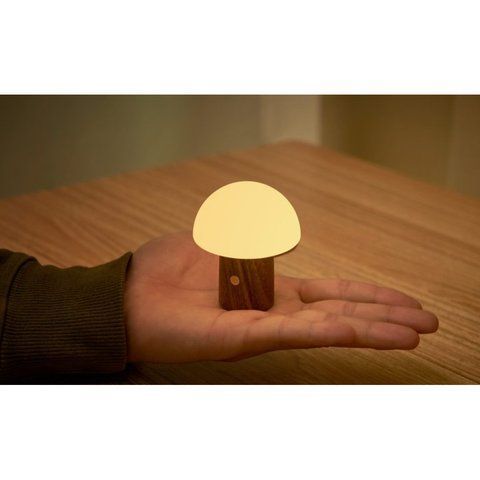 Светильник на аккумуляторе Gingko Alice Mushroom Lamp Super Mini, белый пепел | G022S-AH
