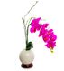 LP-03 Орхидея с LED-подсветкой, Розовый
