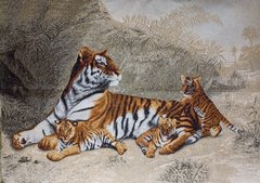 Гобелен без рами Тигриця з тигренятами 105*70 см, 105*70 см