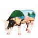 Коллекционная статуэтка корова Fernando de Noronha, Size L, 30*9*20 см