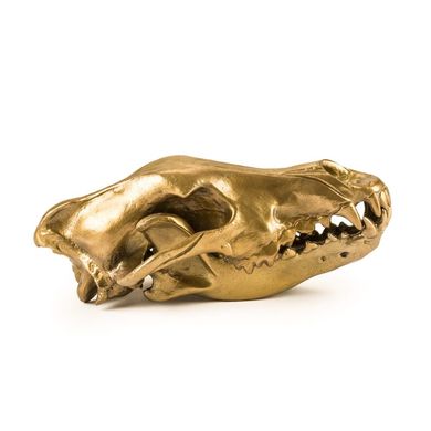 Фигура волчий череп "Diesel-wolf skull&apos;