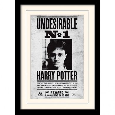 Постер в раме "Harry Potter (Undesirable No1)" 30 x 40 см, 30*40 см