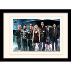 Постер в раме "The Big Bang Theory (UFO)" 30 x 40 см, 30*40 см