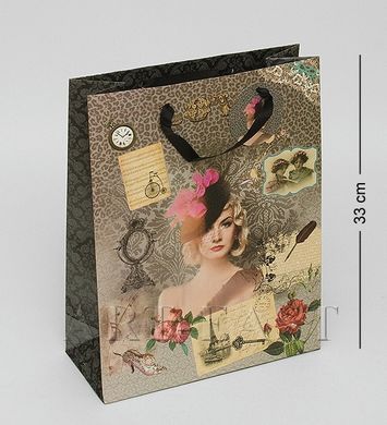 Подарунковий пакет "Шарм" великий WE-46 (Packing Symphony), Мультиколор