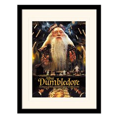Постер у рамі Harry Potter (Dumbledore) 30 x 40 см, 30*40 см