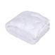 Одеяло Iris Home - Softness белое 170*210 двухспальное