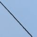 Комплект Штор BlackOut MacroHorizon Небесно-Голубой арт. MG-165614, 170*135 см (2 шт.)