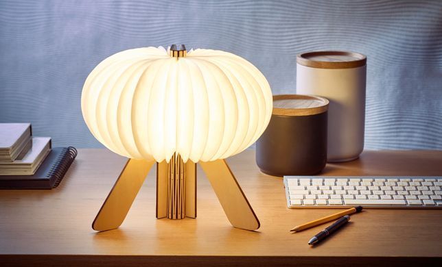 Настольная лампа на аккумуляторе Gingko - "R Space Lamp", Коричневый