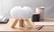 Настольная лампа на аккумуляторе Gingko - "R Space Lamp", Коричневый