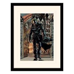 Постер у рамі "Batman (The Joker Released)" 30 x 40 см, 30*40 см