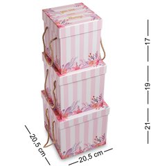 Подарункова упаковка WG-43 Набір коробок з 3шт - Варіант A (AE-301096)